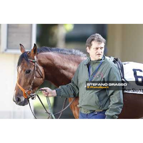 Bibock winner of Premio Torreggio Milano - San Siro galopp racecourse, 22nd april 2012 photo Stefano Grasso