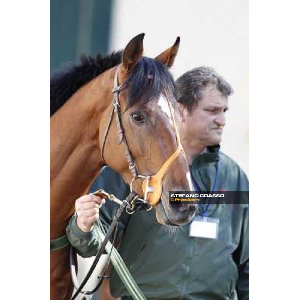 Bibock winner of Premio Torreggio Milano - San Siro galopp racecourse, 22nd april 2012 photo Stefano Grasso