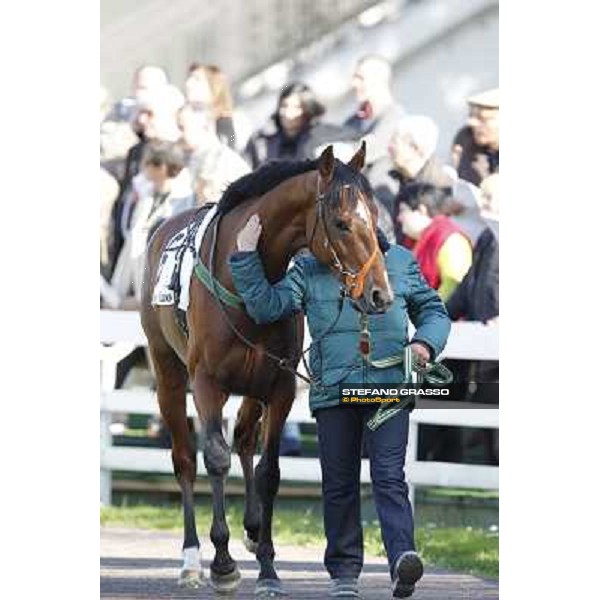 Bibock winner of Premio Torreggio Milano - San Siro galopp racecourse, 22nd april 2012 photo Stefano Grasso