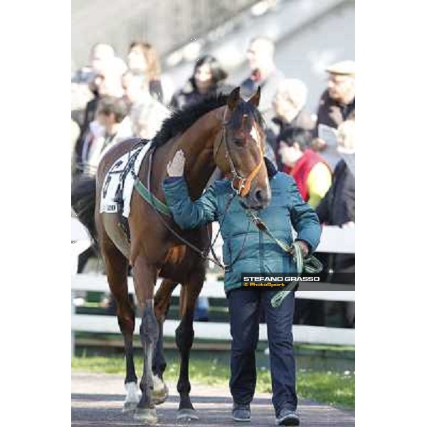 Bibock winner of Premio Torreggio Milano - San Siro galopp racecourse, 22nd april 2012 photo Stefano Grasso