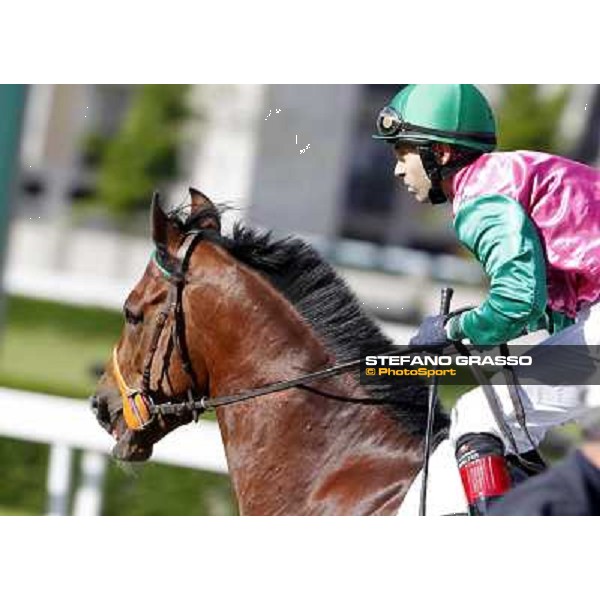 Bibock winner of Premio Torreggio Milano - San Siro galopp racecourse, 22nd april 2012 photo Stefano Grasso