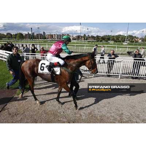 Bibock winner of Premio Torreggio Milano - San Siro galopp racecourse, 22nd april 2012 photo Stefano Grasso