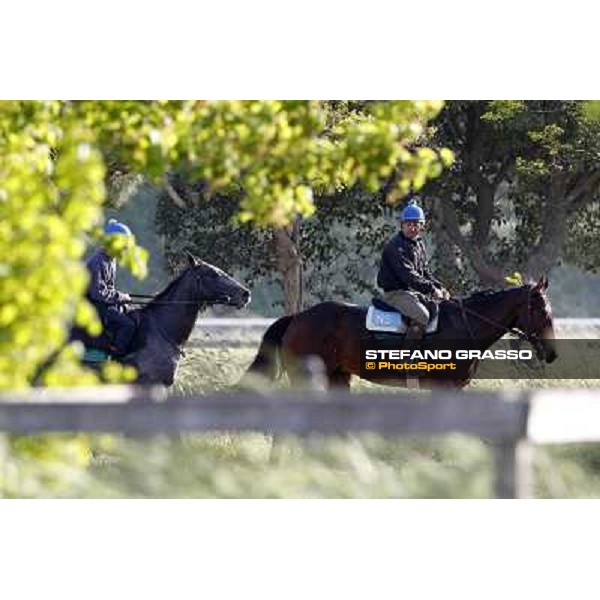 A morning at Luigi Riccardi\'s racing stable Rome - Luigi Riccardi\'s racing stable, 24th april 2012 ph.Stefano Grasso