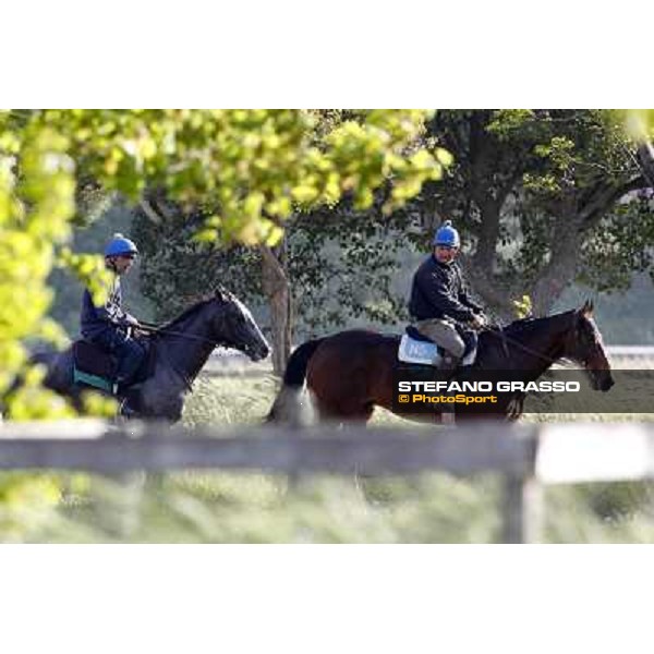 A morning at Luigi Riccardi\'s racing stable Rome - Luigi Riccardi\'s racing stable, 24th april 2012 ph.Stefano Grasso