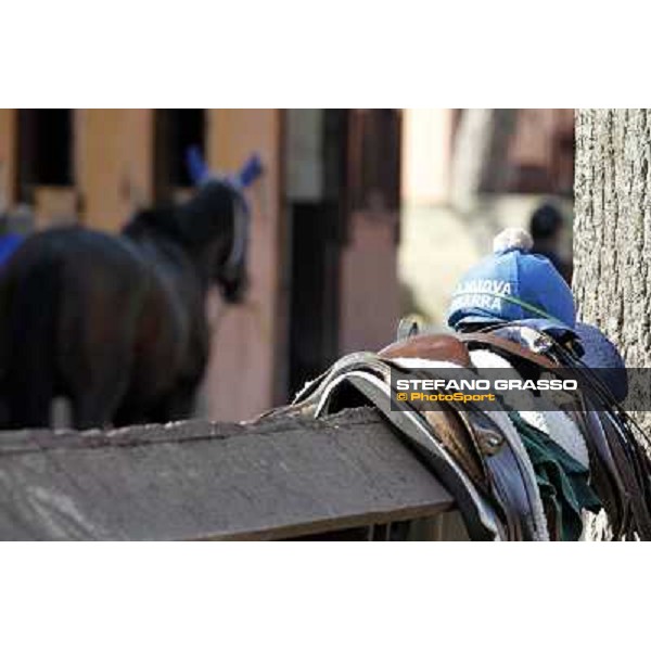 A morning at Luigi Riccardi\'s racing stable Rome - Luigi Riccardi\'s racing stable, 24th april 2012 ph.Stefano Grasso
