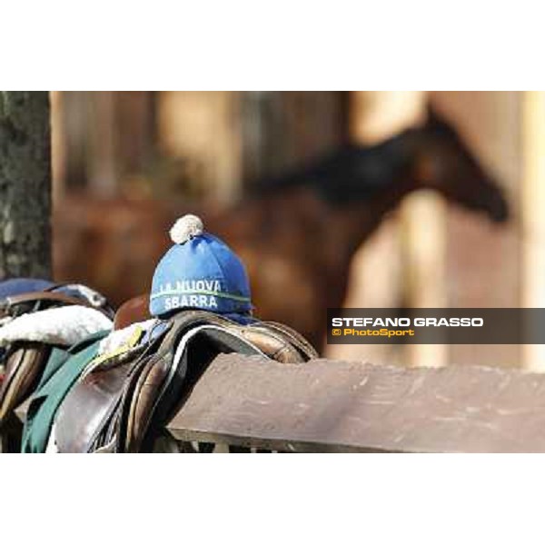 A morning at Luigi Riccardi\'s racing stable Rome - Luigi Riccardi\'s racing stable, 24th april 2012 ph.Stefano Grasso