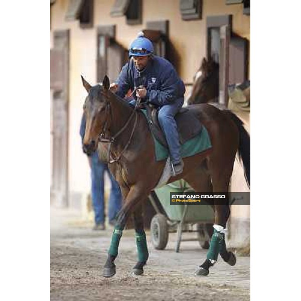 Noble Hachy with Tiziano Mele up prepares for the morning works Rome - Luigi Riccardi\'s racing stable, 24th april 2012 ph.Stefano Grasso