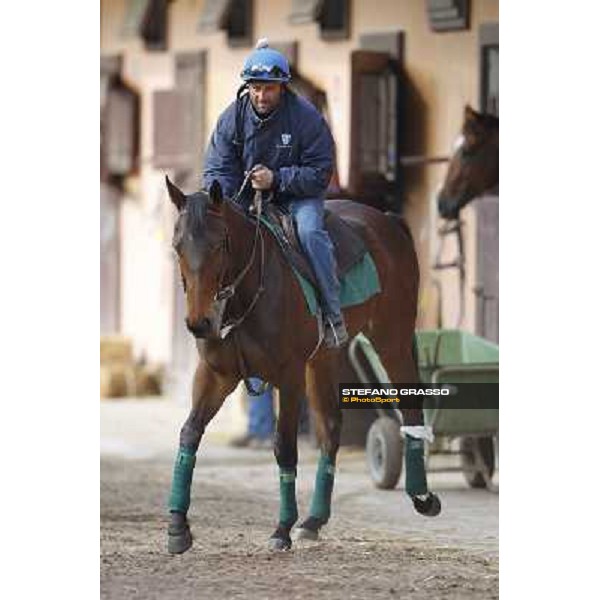 Noble Hachy with Tiziano Mele up prepares for the morning works Rome - Luigi Riccardi\'s racing stable, 24th april 2012 ph.Stefano Grasso