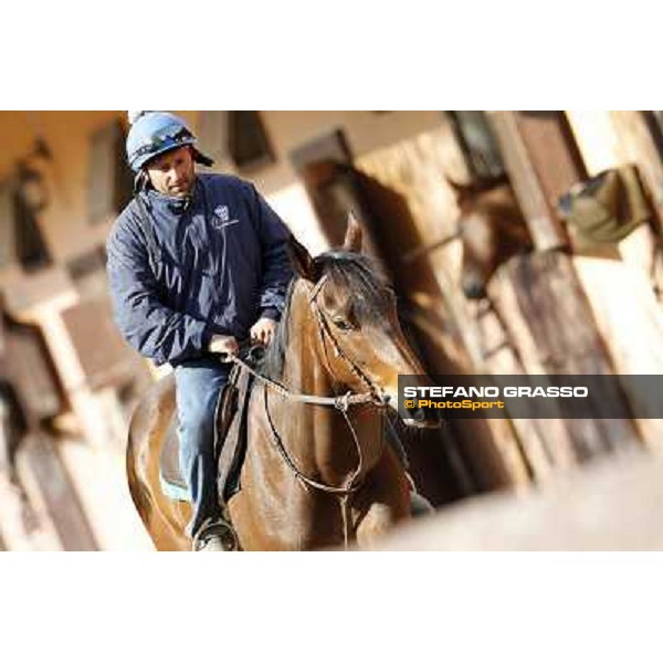 Noble Hachy with Tiziano Mele up prepares for the morning works Rome - Luigi Riccardi\'s racing stable, 24th april 2012 ph.Stefano Grasso