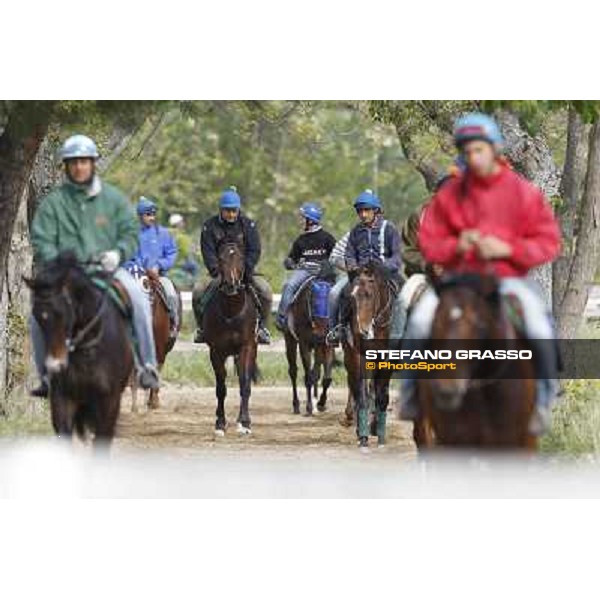 A morning at Luigi Riccardi\'s racing stable Rome - Luigi Riccardi\'s racing stable, 24th april 2012 ph.Stefano Grasso