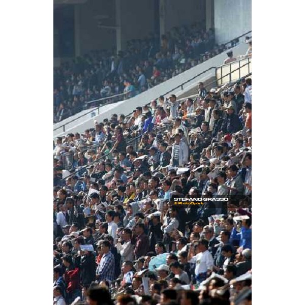 The Cathay Pacific Hong Kong International Races Sha Tin - Hong Kong 12th dec. 2004 ph. Stefano Grasso