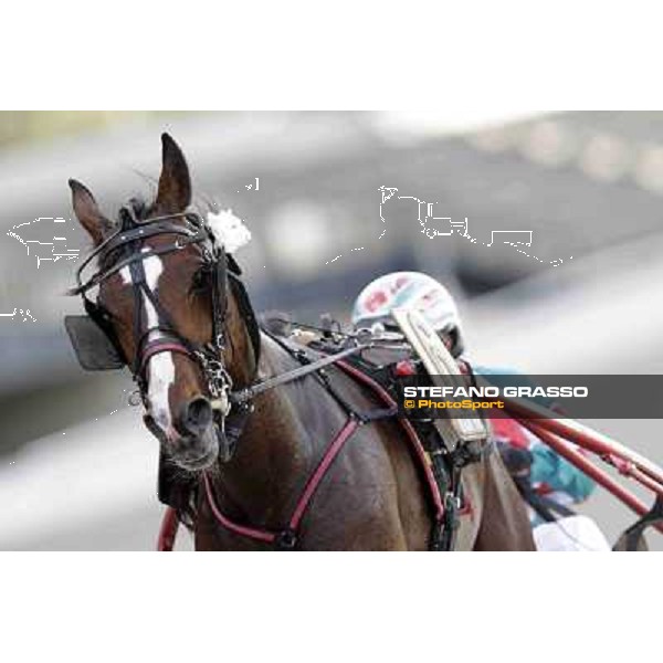 Pietro Gubellini and Owen Cr parade after winning the Gran Premio d\'Europa Milan - San Siro trot racecourse, 25th april 2012 ph..Stefano Grasso