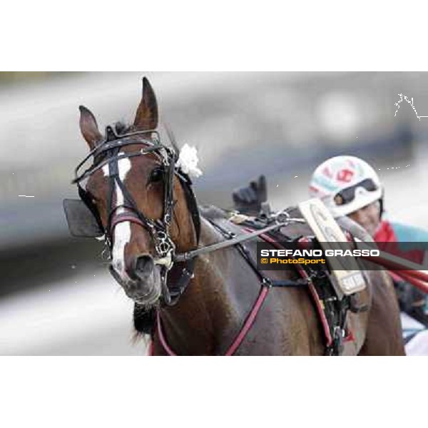 Pietro Gubellini and Owen Cr parade after winning the Gran Premio d\'Europa Milan - San Siro trot racecourse, 25th april 2012 ph..Stefano Grasso