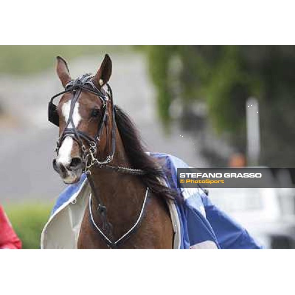 Oklahoma Ans parades after the victory in the Gran Premio d\'Europa filly Milano - San Siro trot racecourse, 25th april 2012 ph.Stefano Grasso