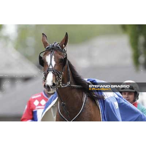 Pietro Gubellini and Oklahoma Ans parade after the victory in the Gran Premio d\'Europa filly Milano - San Siro trot racecourse, 25th april 2012 ph.Stefano Grasso