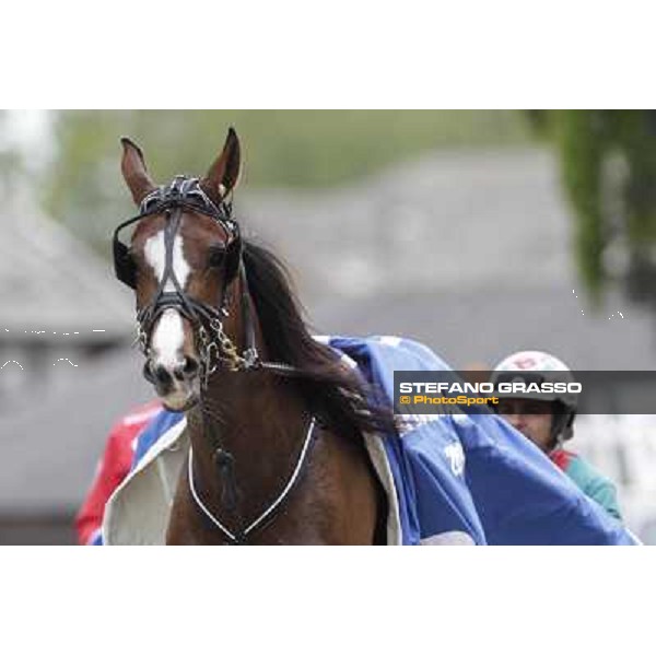 Pietro Gubellini and Oklahoma Ans parade after the victory in the Gran Premio d\'Europa filly Milano - San Siro trot racecourse, 25th april 2012 ph.Stefano Grasso