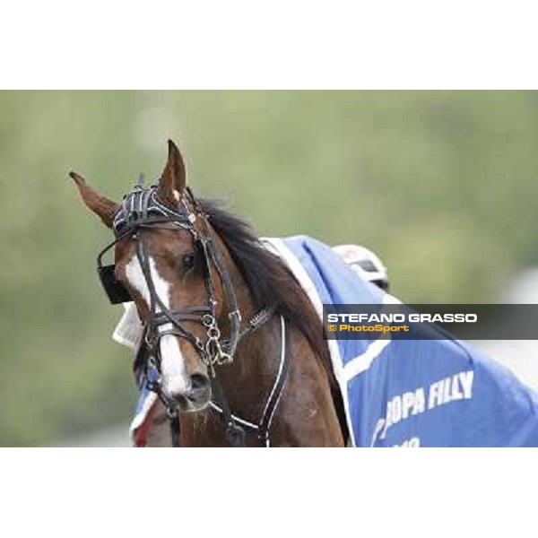 Pietro Gubellini and Oklahoma Ans parade after the victory in the Gran Premio d\'Europa filly Milano - San Siro trot racecourse, 25th april 2012 ph.Stefano Grasso