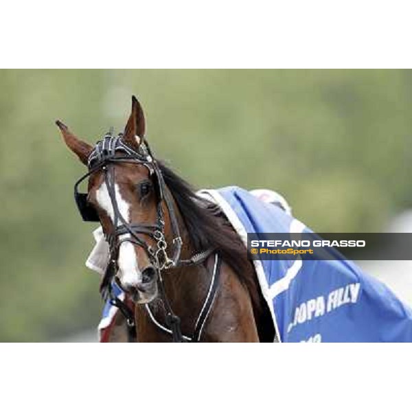 Pietro Gubellini and Oklahoma Ans parade after the victory in the Gran Premio d\'Europa filly Milano - San Siro trot racecourse, 25th april 2012 ph.Stefano Grasso
