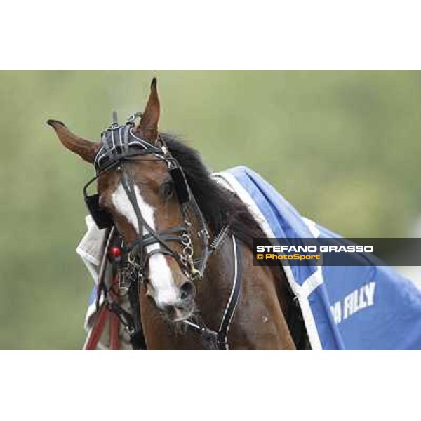 Pietro Gubellini and Oklahoma Ans parade after the victory in the Gran Premio d\'Europa filly Milano - San Siro trot racecourse, 25th april 2012 ph.Stefano Grasso