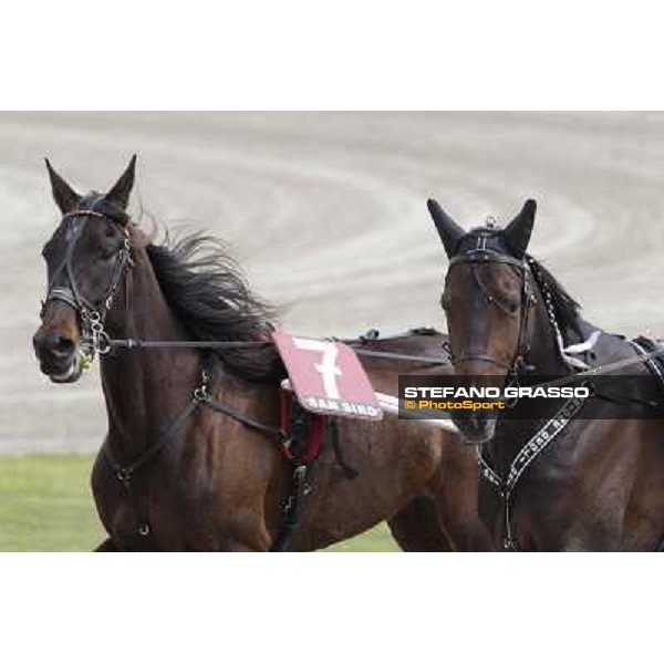 Orione degli Dei Milano - San Siro trot racecourse, 25th april 2012 ph.Stefano Grasso