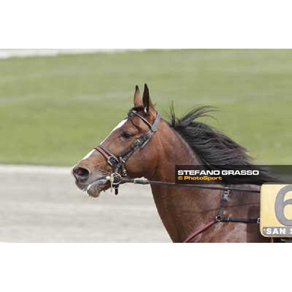 Owen Cr Milano - San Siro trot racecourse, 25th april 2012 ph.Stefano Grasso