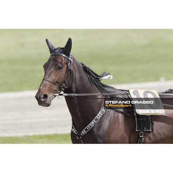 Orione degli Dei Milano - San Siro trot racecourse, 25th april 2012 ph.Stefano Grasso
