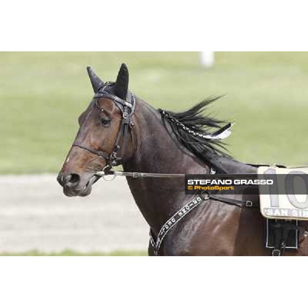 Orione degli Dei Milano - San Siro trot racecourse, 25th april 2012 ph.Stefano Grasso