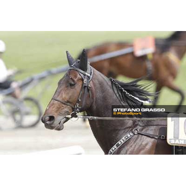 Orione degli Dei Milano - San Siro trot racecourse, 25th april 2012 ph.Stefano Grasso