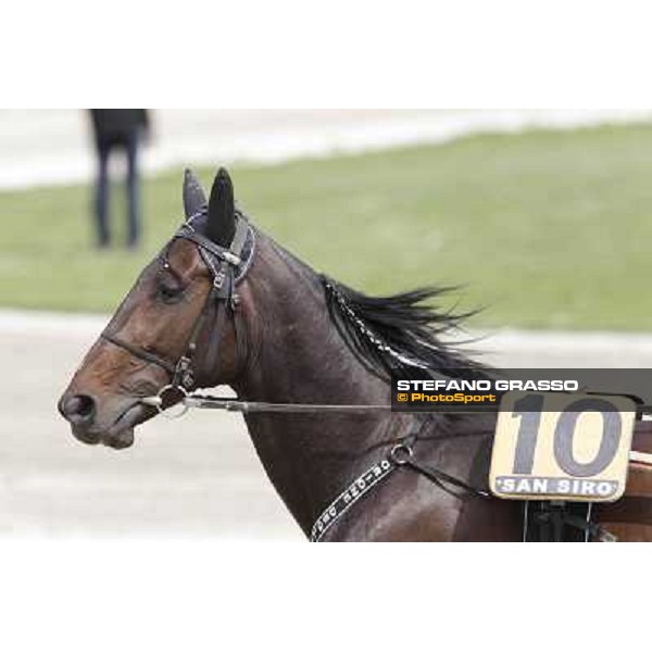 Orione degli Dei Milano - San Siro trot racecourse, 25th april 2012 ph.Stefano Grasso