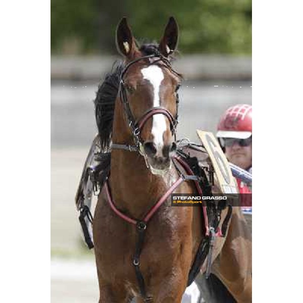 Owen Cr Milano - San Siro trot racecourse, 25th april 2012 ph.Stefano Grasso