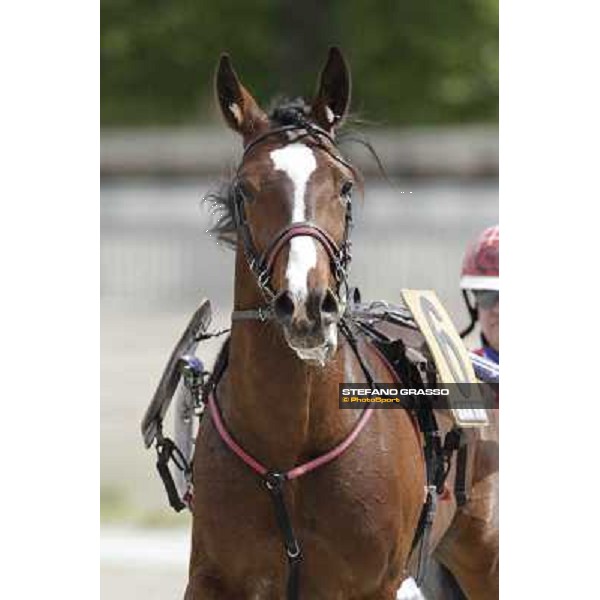 Owen Cr Milano - San Siro trot racecourse, 25th april 2012 ph.Stefano Grasso