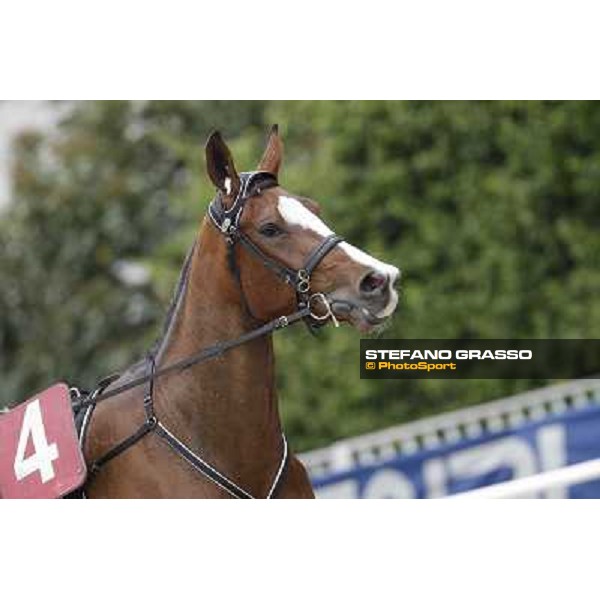 Oklahoma Ans Milano - San Siro trot racecourse, 25th april 2012 ph.Stefano Grasso