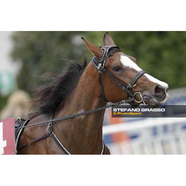 Oklahoma Ans Milano - San Siro trot racecourse, 25th april 2012 ph.Stefano Grasso