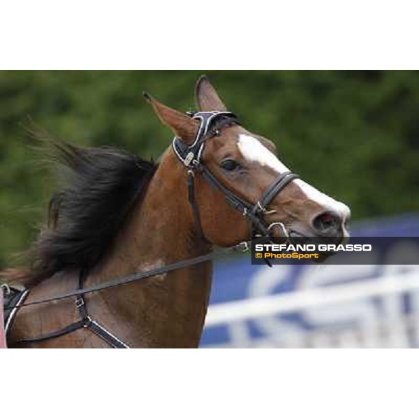 Oklahoma Ans Milano - San Siro trot racecourse, 25th april 2012 ph.Stefano Grasso