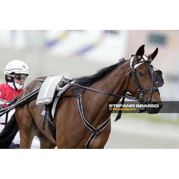 Jos Veerbeck and Potenza Om Milano - San Siro trot racecourse, 25th april 2012 ph.Stefano Grasso