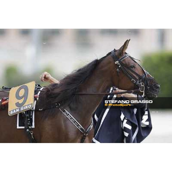 Orsia Milano - San Siro trot racecourse, 25th april 2012 ph.Stefano Grasso
