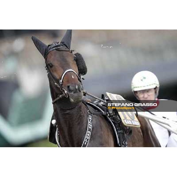 Mauro Baroncini and Orione degli Dei Milano - San Siro trot racecourse, 25th april 2012 ph.Stefano Grasso