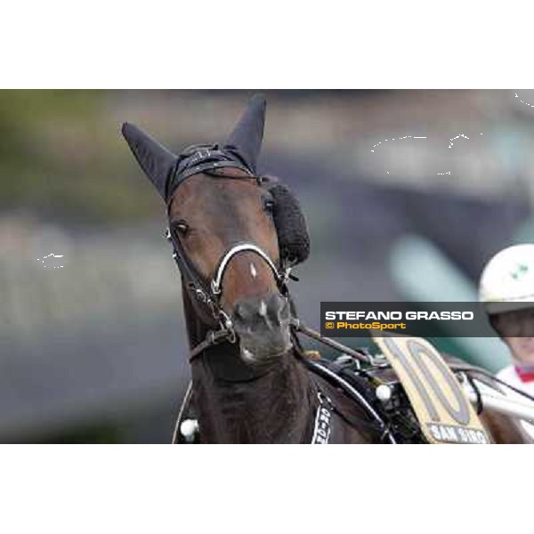 Mauro Baroncini and Orione degli Dei Milano - San Siro trot racecourse, 25th april 2012 ph.Stefano Grasso