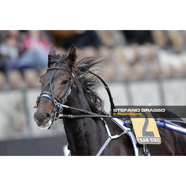 Obama Gar Milano - San Siro trot racecourse, 25th april 2012 ph.Stefano Grasso