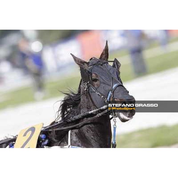 Obama Gar Milano - San Siro trot racecourse, 25th april 2012 ph.Stefano Grasso