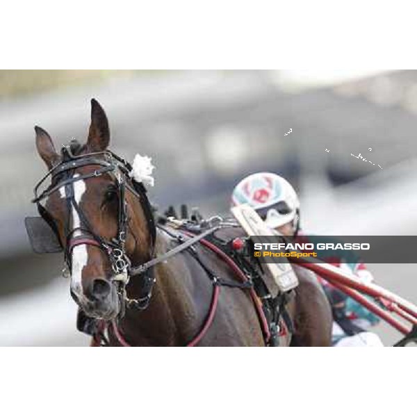Pietro Gubellini and Owen Cr parade after winning the Gran Premio d\'Europa Milano - San Siro trot racecourse, 25th april 2012 ph.Stefano Grasso
