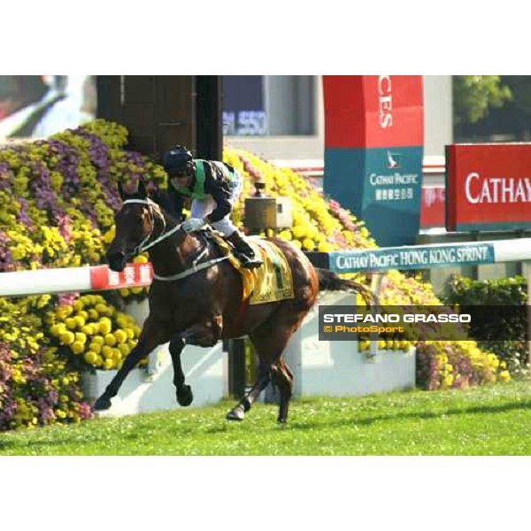 The Cathay Pacific Hong Kong Sprint Felix Coetzee on Silent Witness on the line Sha Tin - Hong Kong 12th dec. 2004 ph. Stefano Grasso