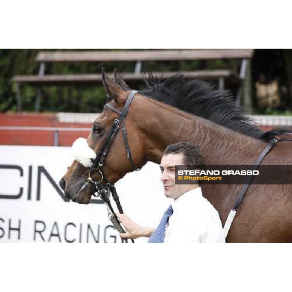 Portraits for Cherry Collect after winning the Premio Regina Elena Rome Capannelle racecourse, 29th april 2012 ph.Stefano Grasso