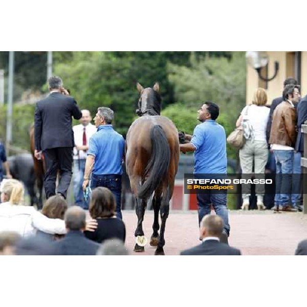 Real Solution returns home after winning the Premio Botticelli Rome Capannelle racecourse, 29th april 2012 ph.Stefano Grasso