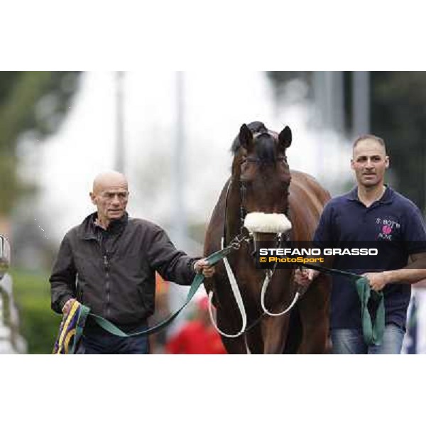 Wild Wolf Rome - Capannelle racecourse, 29th apri l2012 ph.Stefano Grasso