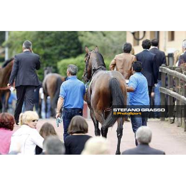 Real Solution returns home with his grooms after winning the Premio Botticelli Rome - Capannelle racecourse, 29th apri l2012 ph.Stefano Grasso