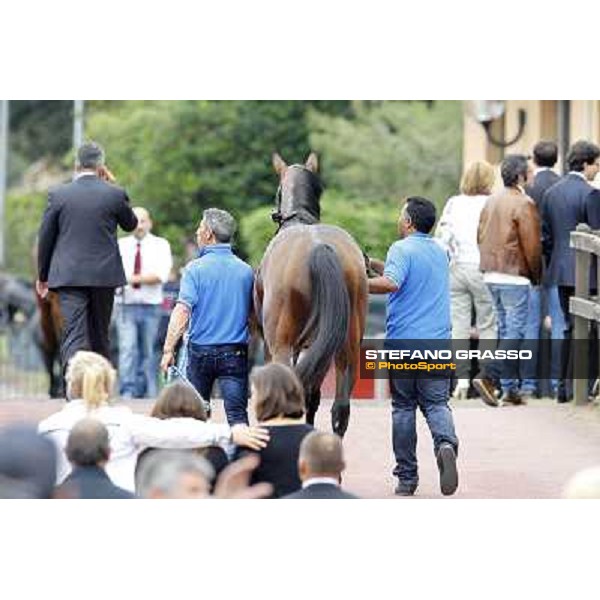 Real Solution returns home with his grooms after winning the Premio Botticelli Rome - Capannelle racecourse, 29th apri l2012 ph.Stefano Grasso