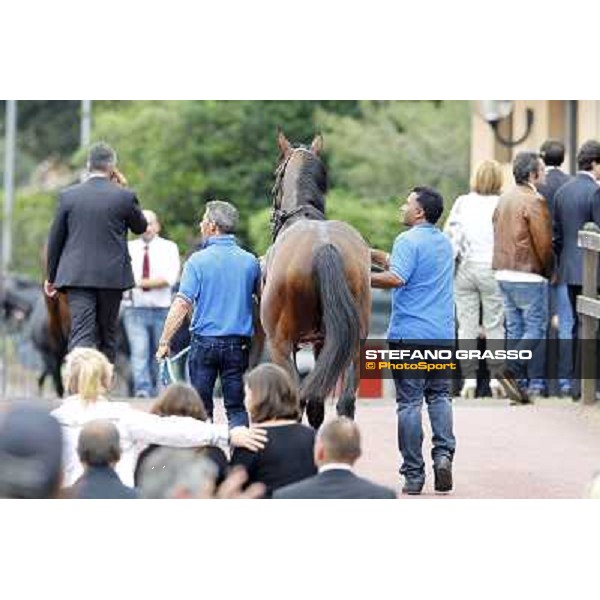 Real Solution returns home with his grooms after winning the Premio Botticelli Rome - Capannelle racecourse, 29th apri l2012 ph.Stefano Grasso