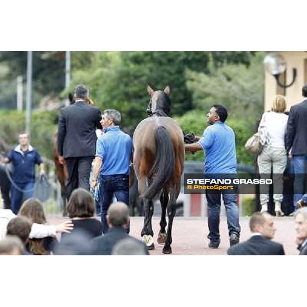 Real Solution returns home with his grooms after winning the Premio Botticelli Rome - Capannelle racecourse, 29th apri l2012 ph.Stefano Grasso