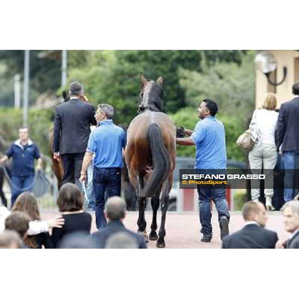 Real Solution returns home with his grooms after winning the Premio Botticelli Rome - Capannelle racecourse, 29th apri l2012 ph.Stefano Grasso